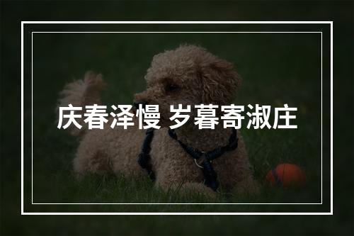 庆春泽慢 岁暮寄淑庄