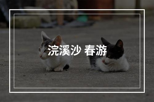浣溪沙 春游