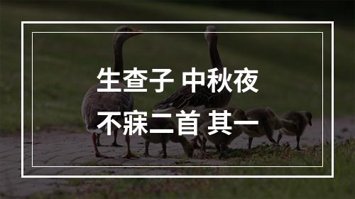 生查子 中秋夜不寐二首 其一
