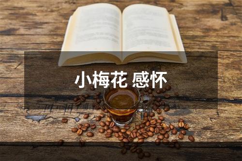 小梅花 感怀
