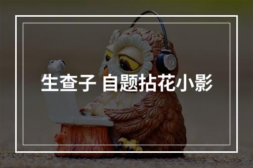 生查子 自题拈花小影
