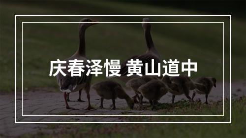 庆春泽慢 黄山道中