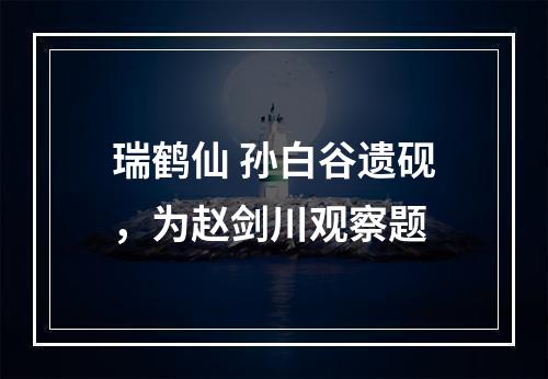 瑞鹤仙 孙白谷遗砚，为赵剑川观察题