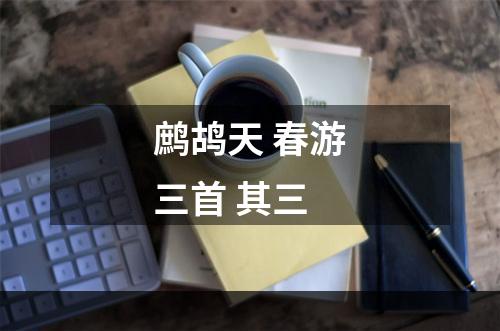 鹧鸪天 春游三首 其三