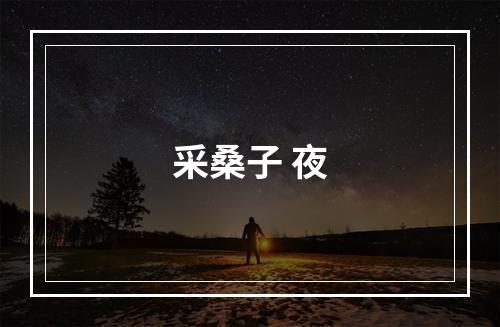 采桑子 夜