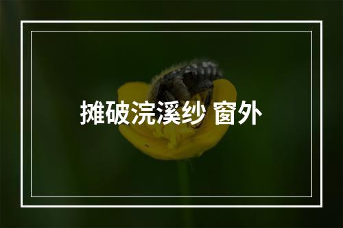 摊破浣溪纱 窗外