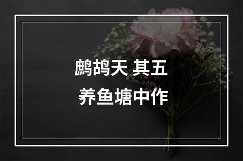 鹧鸪天 其五 养鱼塘中作