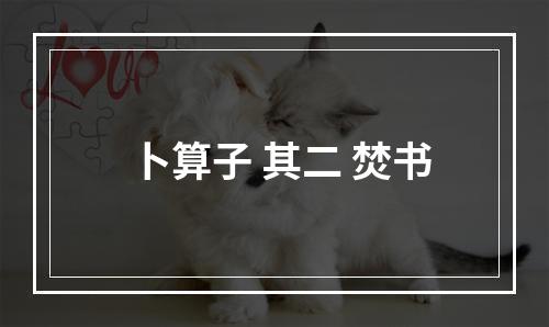 卜算子 其二 焚书