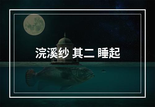 浣溪纱 其二 睡起