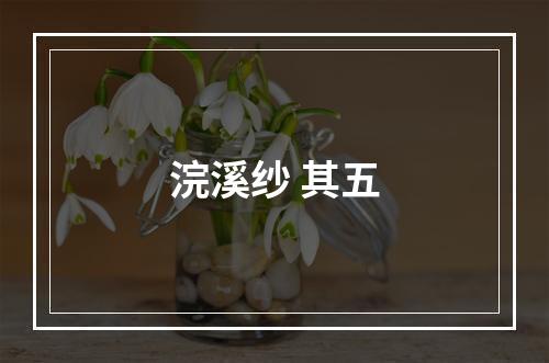 浣溪纱 其五