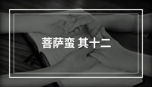 菩萨蛮 其十二