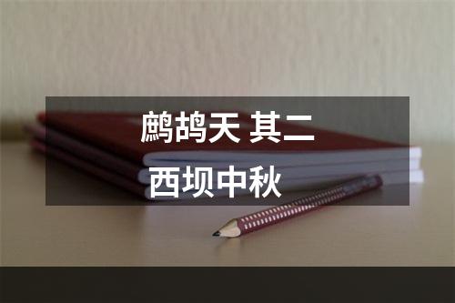 鹧鸪天 其二 西坝中秋