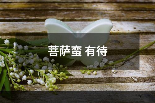 菩萨蛮 有待