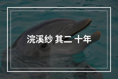 浣溪纱 其二 十年