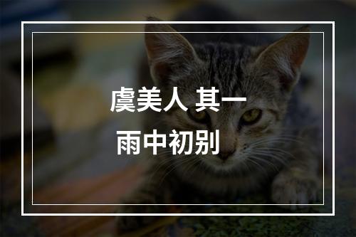虞美人 其一 雨中初别