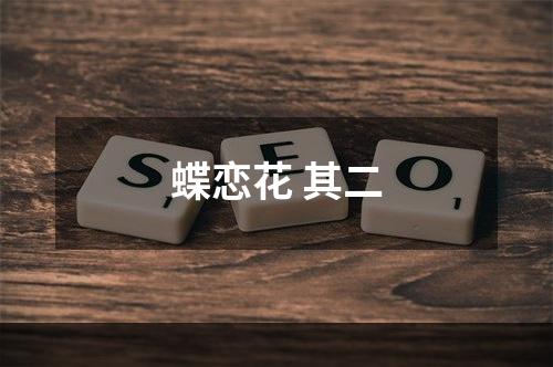 蝶恋花 其二