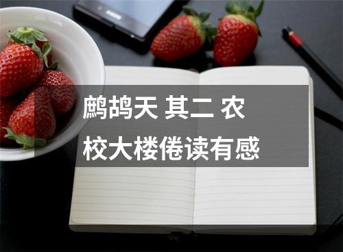 鹧鸪天 其二 农校大楼倦读有感