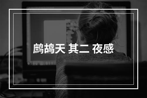 鹧鸪天 其二 夜感