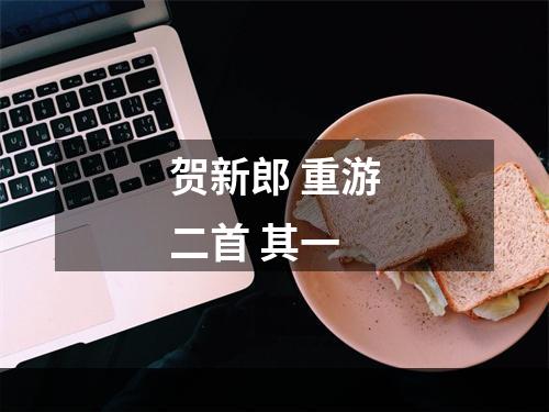 贺新郎 重游二首 其一