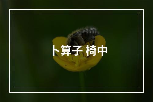 卜算子 椅中