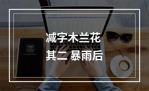 减字木兰花 其二 暴雨后