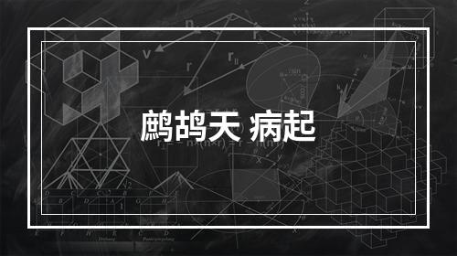 鹧鸪天 病起