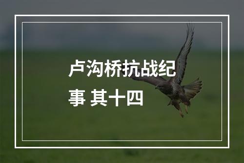 卢沟桥抗战纪事 其十四