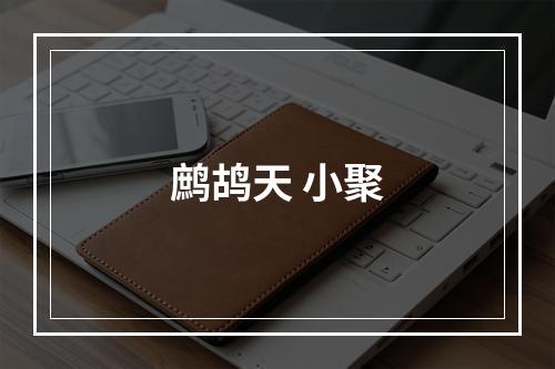 鹧鸪天 小聚