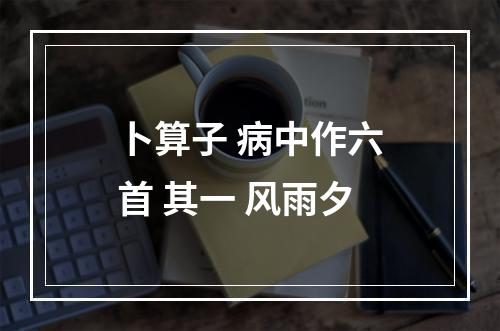 卜算子 病中作六首 其一 风雨夕