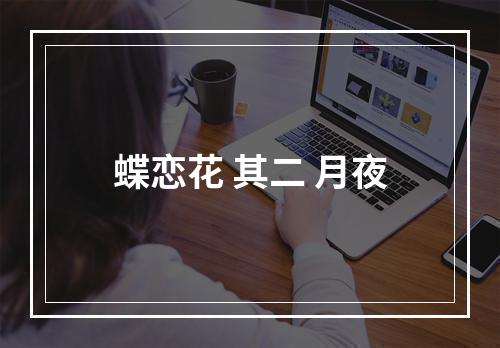 蝶恋花 其二 月夜