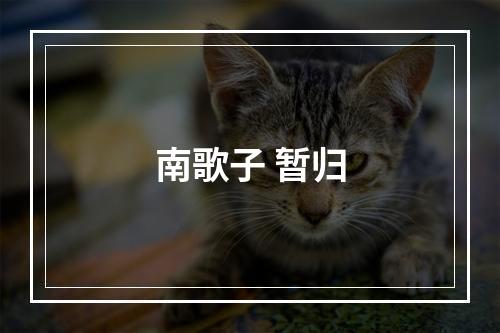 南歌子 暂归