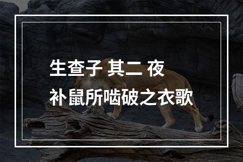 生查子 其二 夜补鼠所啮破之衣歌