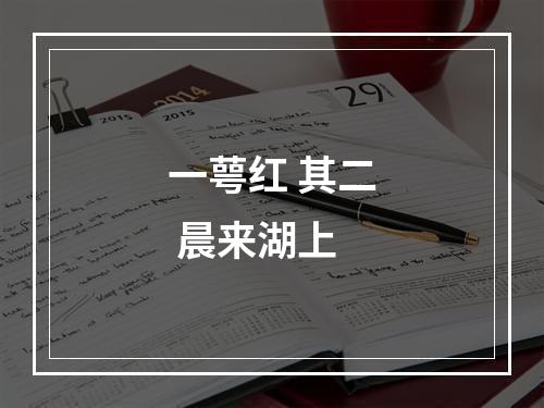 一萼红 其二 晨来湖上