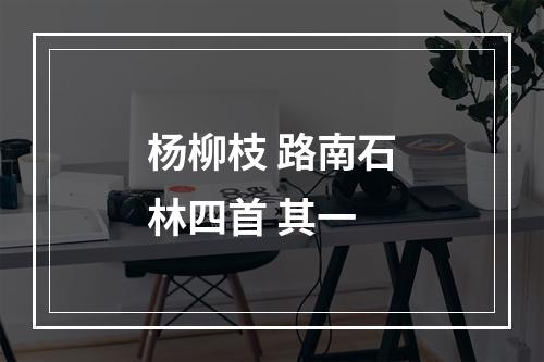 杨柳枝 路南石林四首 其一