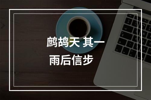 鹧鸪天 其一 雨后信步