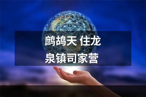 鹧鸪天 住龙泉镇司家营