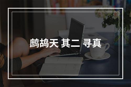 鹧鸪天 其二 寻真