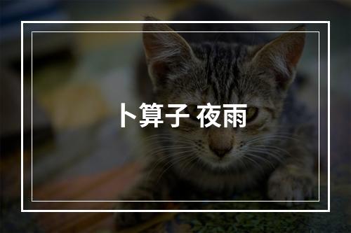 卜算子 夜雨