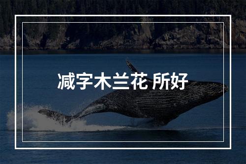 减字木兰花 所好