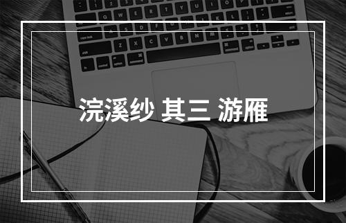 浣溪纱 其三 游雁