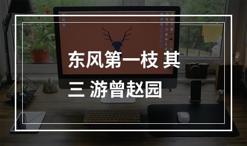 东风第一枝 其三 游曾赵园