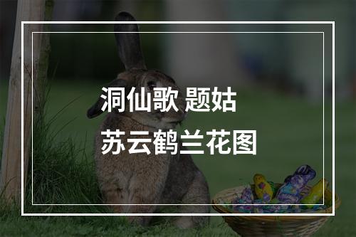 洞仙歌 题姑苏云鹤兰花图