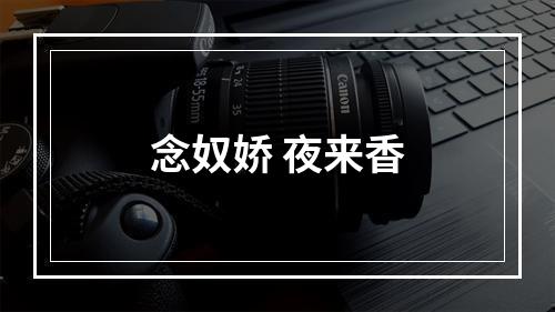 念奴娇 夜来香