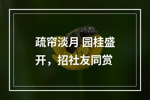 疏帘淡月 园桂盛开，招社友同赏