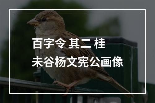 百字令 其二 桂未谷杨文宪公画像