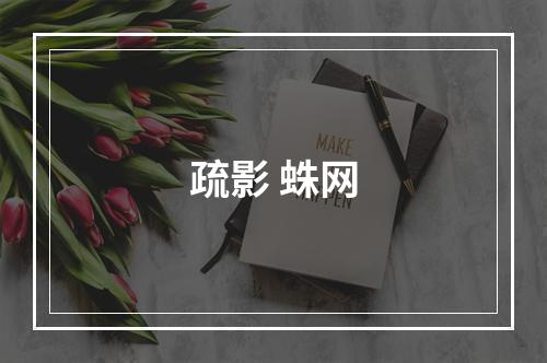 疏影 蛛网