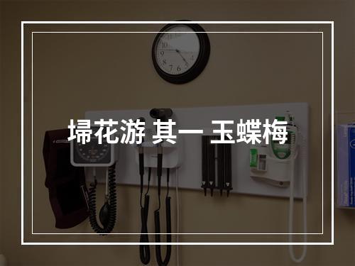 埽花游 其一 玉蝶梅