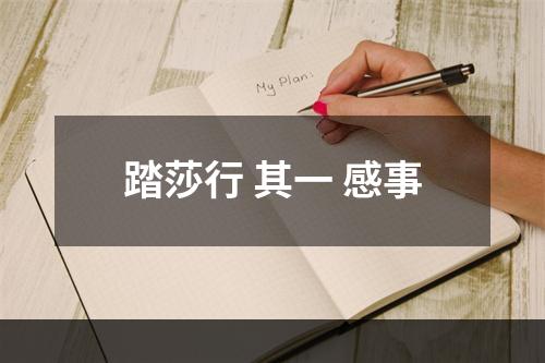 踏莎行 其一 感事