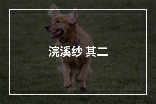 浣溪纱 其二