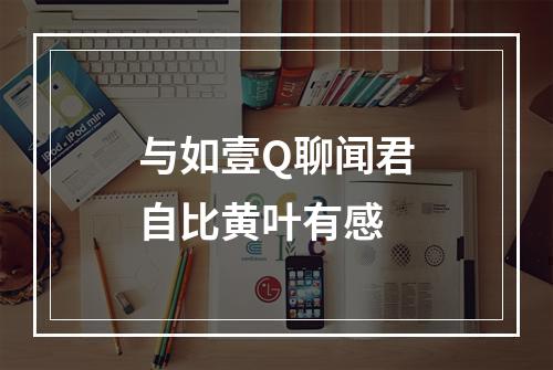 与如壹Q聊闻君自比黄叶有感
